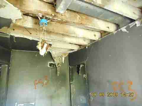 13015 Kelly (10)_m.jpg